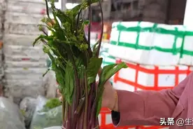 保鲜攻略！这才是蔬菜存放的正确方式图片