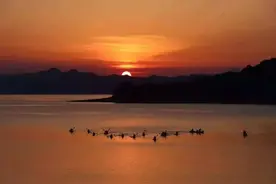 浙些浪漫打卡地，就是你甜炸朋友圈的“秘密武器”图片