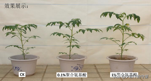 聚合氨基酸-肥料的增效因子