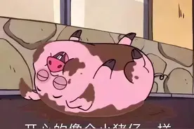 有哪些猪的搞笑图片或者表情包？图片