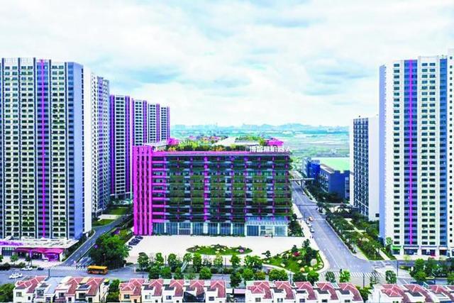 走进博智林：揭秘建筑“钢铁侠”背后的研发逻辑