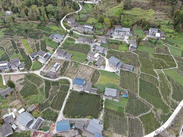 四川省民生研究会新媒体中心-官网