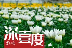 一花一世界图片