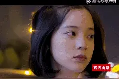 欧阳娜娜体验宠物殡葬师哭崩！网友破防了：这样的告别我没想过图片