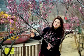 人面梅花相映红图片