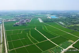 中国种田的演变和科技革新图片