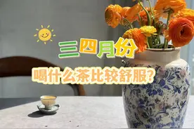 三四月份，喝什么茶更舒服？绿茶、红茶，还是老白茶、武夷岩茶？图片