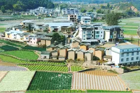 美成仙境！玉溪的春天，像掉进了彩色盘里！图片