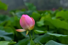 一个人的贫富，是有定数的图片