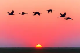 最美不过夕阳红：夕阳霞光怎么拍？8个技巧学起来！图片
