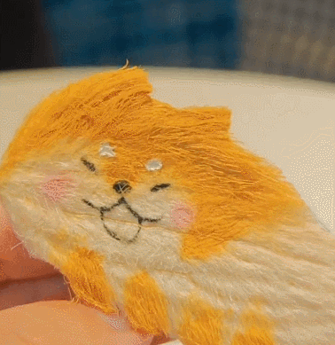 你out的科普来了——所谓芒狗就是把吃完的芒果核洗干净把毛梳蓬松,再