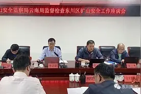 #安全生产#国家矿山安全监察局云南局赴东川监督检查矿山安全监管工作图片