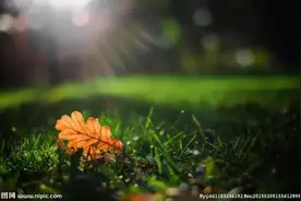 这年头社会真的变了（很现实）图片