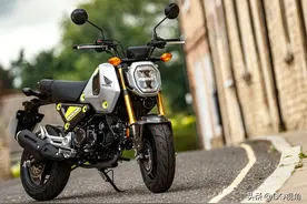 小个子车友的福音，9款MINI摩托车纵览，本田占据半壁江山图片