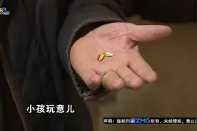 大伯直播间买“盲盒” 199元收到俩瓜子图片