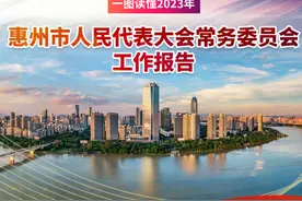 一图读懂！惠州市人大常委会工作报告图片