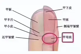 体内有癌，手指先知？提醒：指甲若出现一种症状，警惕癌细胞入侵图片