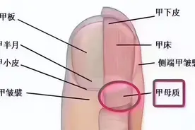 体内有癌，手指先知？提醒：指甲若出现一种症状，警惕癌细胞入侵图片
