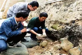 为何美国日本从不考古？一个怕无颜面对亿万民众，一个无古可考图片