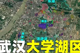 武汉有多宠溺大学生？83所高校不是占山为王就是坐拥湖景图片