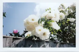 情人之间，不管多爱一旦不能做夫妻，就要记住四句话图片