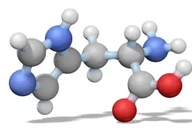 合成胶原蛋白的重要材料——氨基酸图片