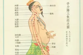 和于大夫从零学中医——针灸篇（第十九篇：浮络、孙络）图片