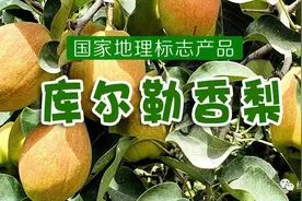 库尔勒香梨 「国家地理标志产品」图片