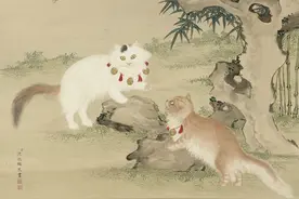 3000多万年的“世仇”尚无结果，假如猫与犬科发生战争，哪边更强图片