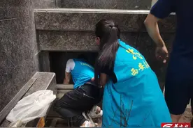 【108坊故事】小奶猫被困小区通风井 ​社区网格员合力解救图片