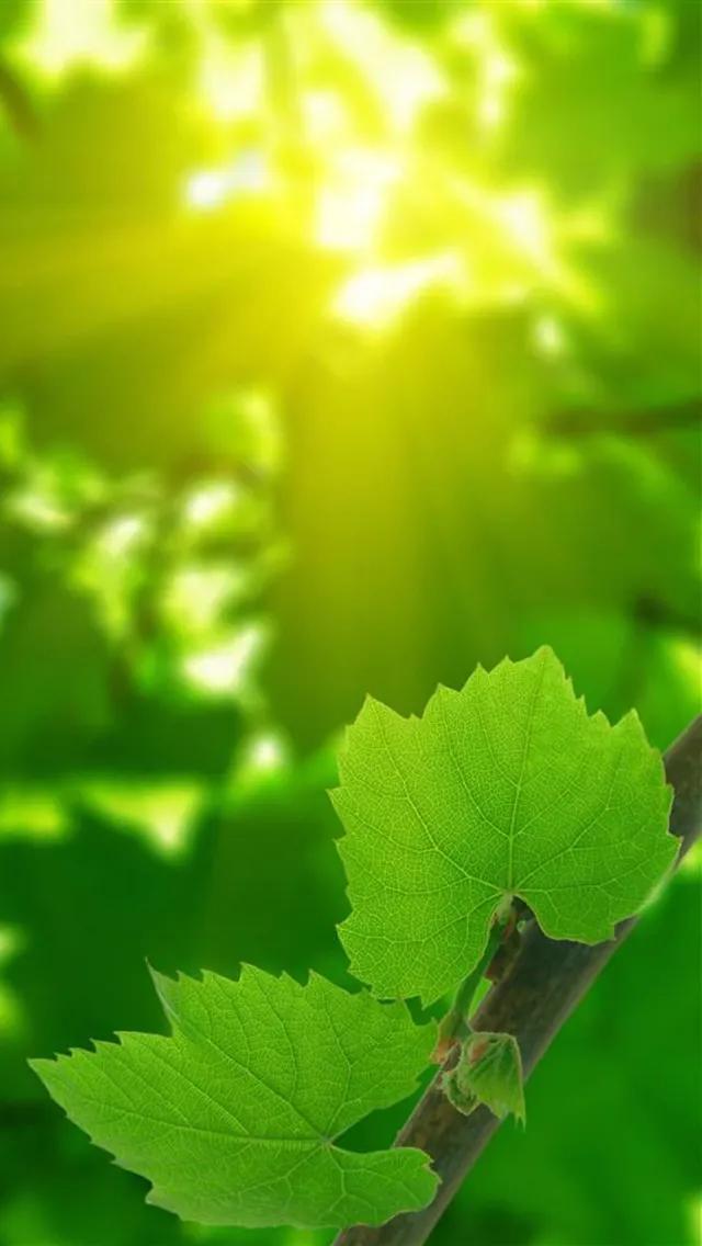 治愈系壁纸:让烦躁的心静下来