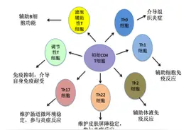 艾防科普 如何看待CD4和HIV病载数据图片