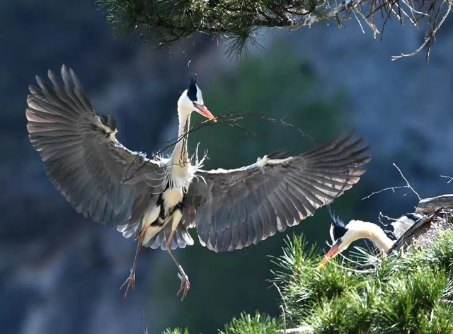 四川省民生研究会新媒体中心-官网