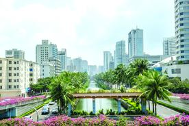 海口龙昆沟下游段改造整治，两套方案你怎么选？图片