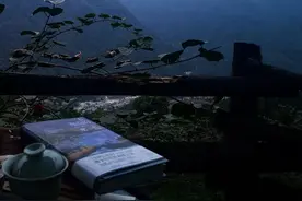 红尘来去，得失不驻身心图片