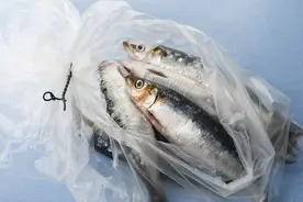 装菜的“塑料袋”放进冰箱，不仅有毒还致癌？实验揭晓真相图片