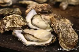 明明白白说一说生蚝和海蛎子之间究竟是个什么关系图片