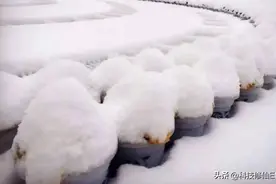 “三重”拉尼娜将至，或将引发超级寒冬！今年冬天真会寒冷加倍？图片