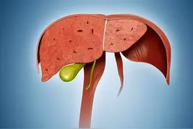世卫组织呼吁：停止使用“绞肉机”，或对肝不利，别等生病才后悔图片