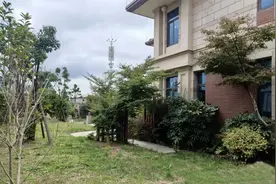 100万级别的别墅，却拿来养鸡鸭、种菜，是一种什么体验？图片