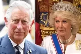 3个细节证明查尔斯国王是个不好惹的狠人？守护卡米拉，阻挡梅根图片