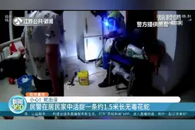 小心蛇出没！苏州民警在居民家中活捉一条约1.5米长无毒花蛇图片