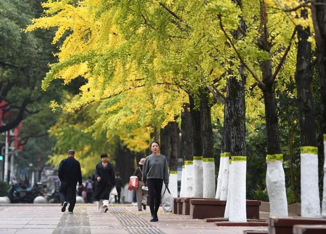 南明区：初冬时节好风景