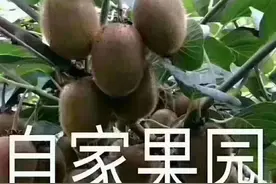 普通人千万不要在快手平台开小店图片