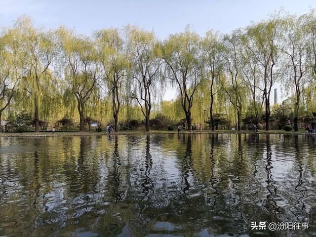 汾阳往事｜殷维明：杏花村游记——汾酒工业园林赏杏花