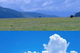 春深迟暮，夏日初长，一起来收录甘孜动人的夏天！图片