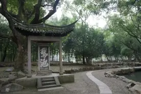 诗酒趁年华图片