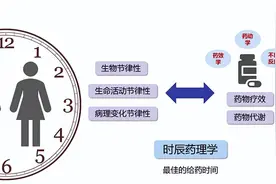 科普｜用药十二时辰：服药时间原来大有讲究！图片