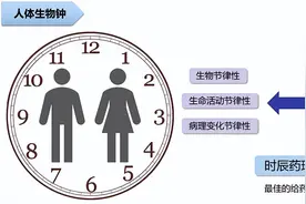 科普｜用药十二时辰：服药时间原来大有讲究！图片