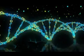人会变老，是因为体内断裂的DNA被修好了？图片